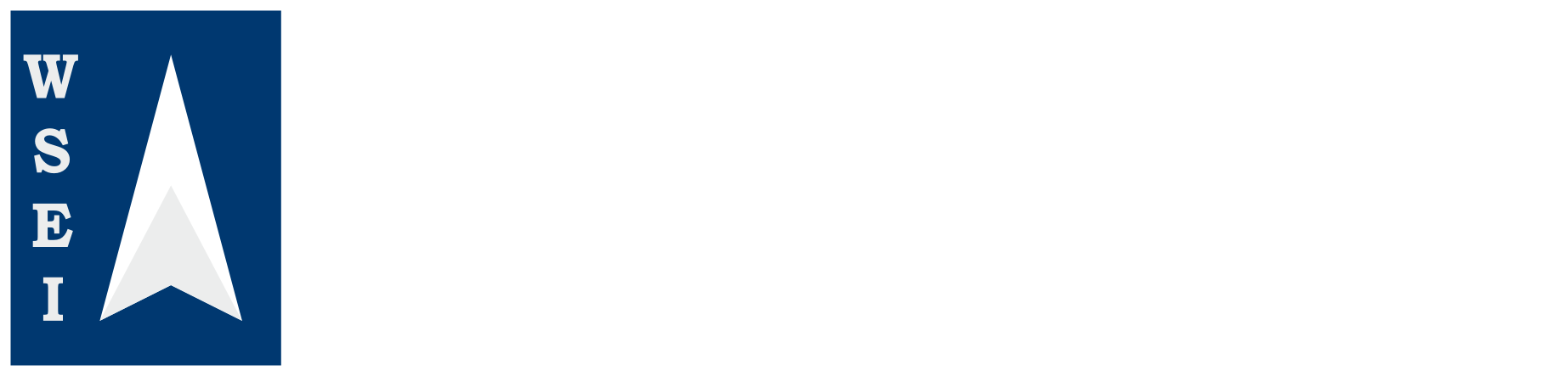 wsei-logo-1